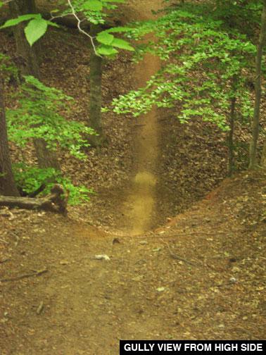 A view looking down into a gully, surrounded by green trees and fallen leaves on the forest floor. The slope of the gully is visible, with a clear path leading down the center. The overall atmosphere suggests a natural wooded environment. Owls Roost (Bur-Mil Park) mountain bike trail.