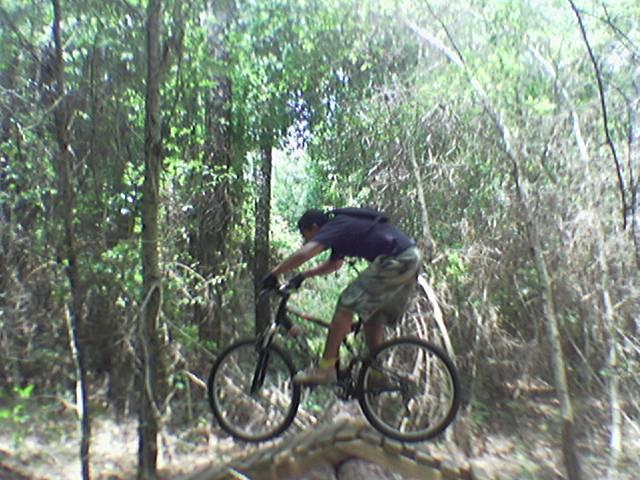 A person performing a mountain biking stunt on a wooden log in a dense forest environment, surrounded by greenery and trees. The biker is balancing on the log with their body leaned forward and hands on the handlebars. Kathryn Abby Hanna Park mountain bike trail.