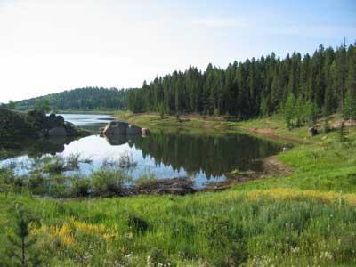 A serene landscape featuring a calm lake surrounded by lush greenery and trees under a clear blue sky. Small rocks are visible near the water's edge, and the vibrant flora adds color to the scene. Rampart Reservoir mountain bike trail.