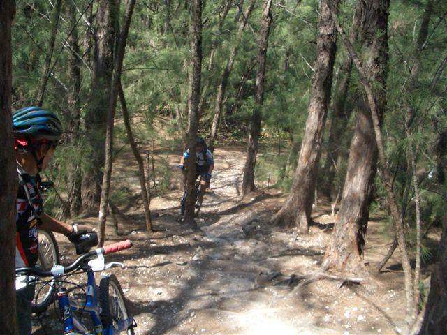Two mountain bikers on a rugged trail surrounded by tall trees. One rider is in the foreground, slightly paused while holding onto the handlebars of a blue bike, wearing a helmet and cycling gear. The other rider is visible further down the path, maneuvering the trail through the dense woods. The trail is narrow and rough, with natural terrain elements like rocks and tree roots. Sunlight filters through the trees, creating a dappled light effect on the ground. Oleta River State Park mountain bike trail.