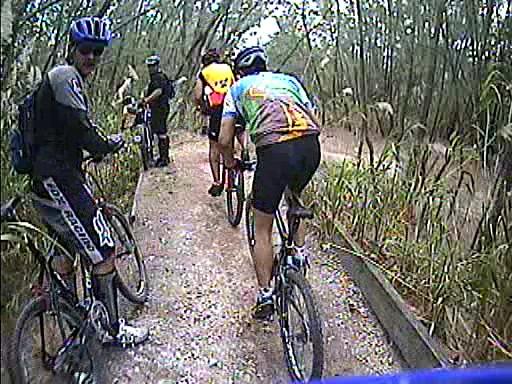 A group of four mountain bikers paused on a narrow dirt path surrounded by lush vegetation. Two riders are visible in the foreground, one wearing a black outfit with a number and the other in a colorful jersey. In the background, two additional bikers are near a tree, all engaged in conversation or resting. The scene captures the camaraderie of outdoor biking in a natural setting. Oleta River State Park mountain bike trail.