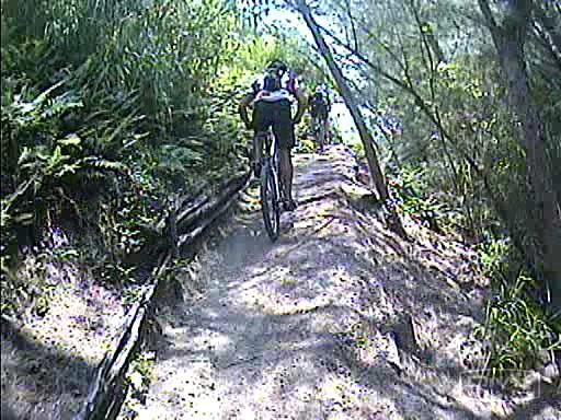 A cyclist ascending a narrow dirt trail surrounded by dense greenery and sunlight filtering through the trees. Additional cyclists are visible in the background. Oleta River State Park mountain bike trail.