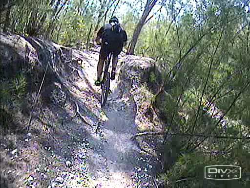 A person riding a mountain bike on a narrow dirt trail surrounded by greenery. Sunlight filters through the trees, highlighting the rider as they navigate the rugged terrain. Oleta River State Park mountain bike trail.