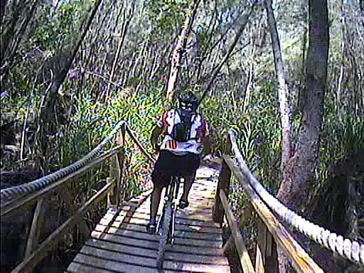 A person riding a mountain bike across a wooden bridge surrounded by dense vegetation and trees. The rider is wearing a helmet and cycling gear, with the focus on the path ahead. Oleta River State Park mountain bike trail.