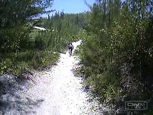 A cyclist riding along a gravel trail surrounded by dense greenery and tall trees on a sunny day. Oleta River State Park mountain bike trail.