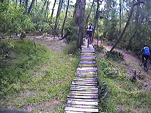 A narrow wooden bridge spans a grassy path in a forested area, with two cyclists riding on it. Lush greenery surrounds the trail, showcasing tall trees and underbrush. The scene depicts a tranquil, natural environment ideal for mountain biking. Quiet Waters Park mountain bike trail.