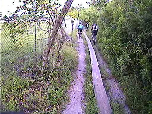A group of cyclists riding along a narrow wooden path surrounded by greenery and a fence on one side. The lush vegetation on both sides of the trail adds to the natural scenery. Quiet Waters Park mountain bike trail.