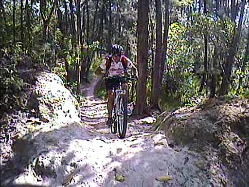 A cyclist navigating a rocky, sandy trail in a forested area, surrounded by tall trees and greenery. Quiet Waters Park mountain bike trail.
