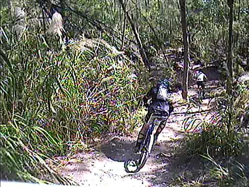 A person riding a mountain bike on a dirt trail surrounded by lush greenery and tall grass. The bike is angled sharply, suggesting speed and maneuverability, while the trail leads through a partially shaded wooded area. Oleta River State Park mountain bike trail.