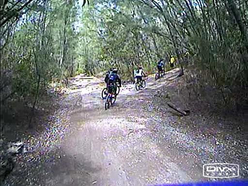 A group of four mountain bikers riding on a dirt trail surrounded by dense trees and greenery. The path is slightly winding with a mixture of dirt and gravel, and patches of sunlight filter through the foliage. Oleta River State Park mountain bike trail.