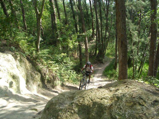 A mountain biker navigating a rocky trail surrounded by lush greenery and tall trees in a forested area. The path is steep and winding, indicating a challenging ride. Quiet Waters Park mountain bike trail.