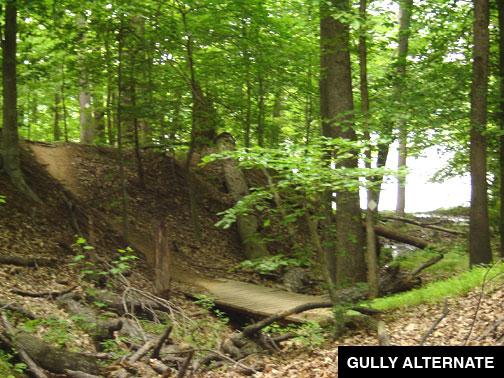 A forested area featuring a dirt path leading up a slight incline, with lush green trees surrounding the scene. A wooden bridge spans a small gully, covered with fallen leaves and branches, creating a natural trail. Sunlight filters through the leaves, illuminating the tranquil setting. Owls Roost (Bur-Mil Park) mountain bike trail.