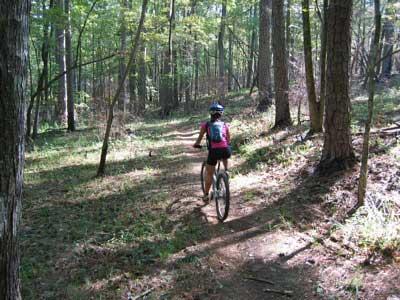A person riding a mountain bike on a dirt trail through a wooded area, surrounded by trees and sunlight filtering through the leaves. Lick Fork (Horn Creek) mountain bike trail.