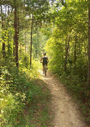A person riding a mountain bike on a narrow dirt trail surrounded by trees and greenery in a sunny outdoor setting. Tsali Left Loop mountain bike trail.