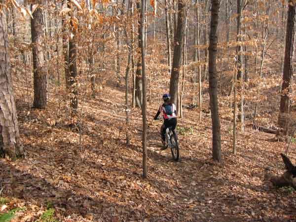 A person riding a mountain bike along a narrow trail in a wooded area, surrounded by autumn leaves on the ground and trees with sparse foliage. The scene captures a sense of adventure and the beauty of nature in fall. San-lee Park mountain bike trail.
