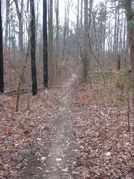 A narrow dirt path winding through a forest with bare trees and fallen leaves, set on a cloudy day. The trail is flanked by tall, dark tree trunks, some of which show signs of previous fire damage. San-lee Park mountain bike trail.