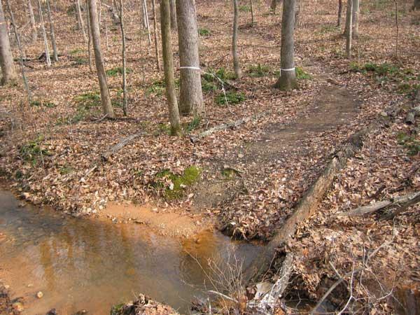A serene forest landscape with a small stream flowing through the center. The ground is covered with fallen leaves, and a dirt path runs alongside the stream, bordered by trees in a muted winter setting. San-lee Park mountain bike trail.