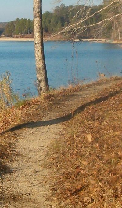 A winding dirt path alongside a tranquil lake, surrounded by trees and fallen leaves, under a clear sky. Lake Lurleen State Park Trail mountain bike trail.