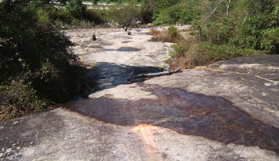 A dry riverbed with smooth, light-colored rock formations, surrounded by lush green vegetation. There are patches of darker water or mud on the rock surface, indicating areas that may hold moisture. The scene appears sunlit and natural, suggesting a serene outdoor environment. Georgia International Horse Park mountain bike trail.