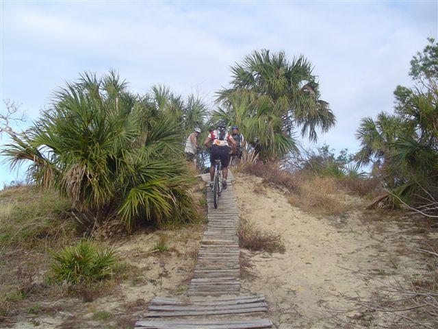 A group of mountain bikers navigating a wooden path leading up a sandy hill surrounded by palm trees and lush vegetation. Jonathan Dickinson State Park mountain bike trail.