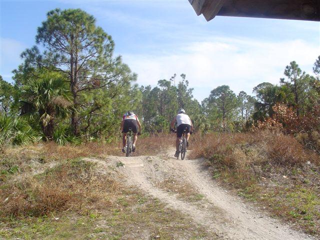 Two cyclists riding mountain bikes along a dirt trail surrounded by trees and shrubbery on a sunny day. Jonathan Dickinson State Park mountain bike trail.
