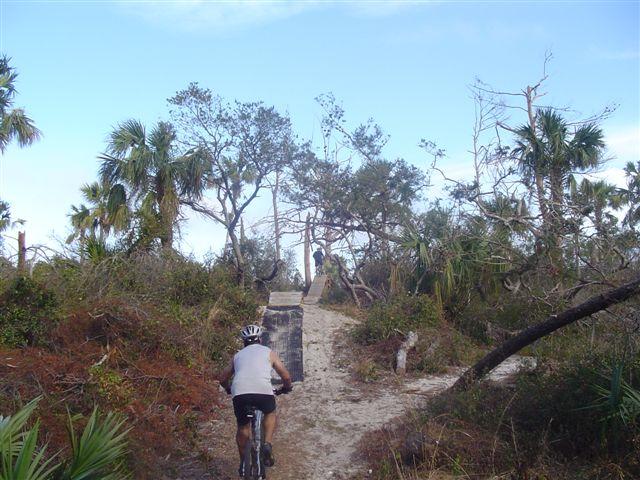 A cyclist riding on a dirt trail surrounded by sparse trees and foliage, with blue skies above and a winding path leading into the distance. Jonathan Dickinson State Park mountain bike trail.