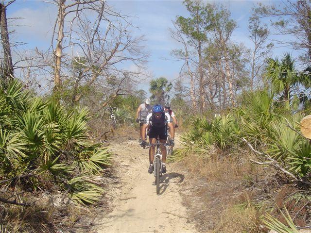 Two mountain bikers riding along a sandy trail surrounded by sparse vegetation and small palm-like plants. The path is flanked by trees, and the sky is partly cloudy. Jonathan Dickinson State Park mountain bike trail.