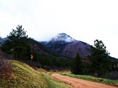 A scenic mountain landscape featuring a dirt road winding through greenery, with tall evergreen trees on either side. The mountains in the background are partially shrouded in clouds, creating a misty atmosphere. Blodgett mountain bike trail.