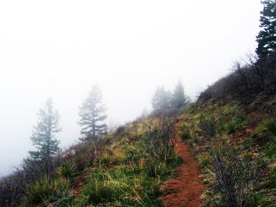 A foggy mountain trail surrounded by sparse greenery and distant evergreen trees, leading into the mist. Blodgett mountain bike trail.