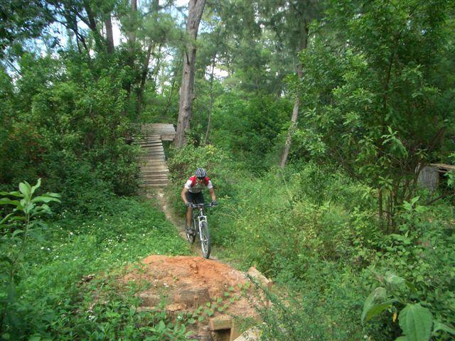 A cyclist riding a mountain bike on a dirt path surrounded by lush greenery and trees, approaching a small ramp. In the background, wooden stairs lead up to a higher area, partially obscured by foliage. The scene conveys a sense of adventure and nature. Quiet Waters Park mountain bike trail.