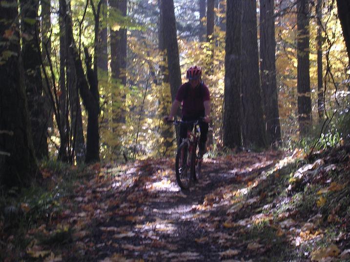 A cyclist riding a mountain bike along a winding trail in a forest with tall trees and autumn-colored leaves, dappled sunlight filtering through the branches. Dans Trail mountain bike trail.