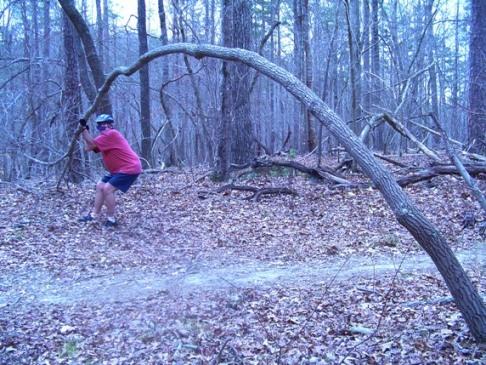 A person wearing a helmet and a red shirt is using a bent tree branch as a makeshift swing in a wooded area. The ground is covered with fallen leaves, and various trees are visible in the background. Uwharrie NF: Wood Run, Supertree And Keyauwee mountain bike trail.