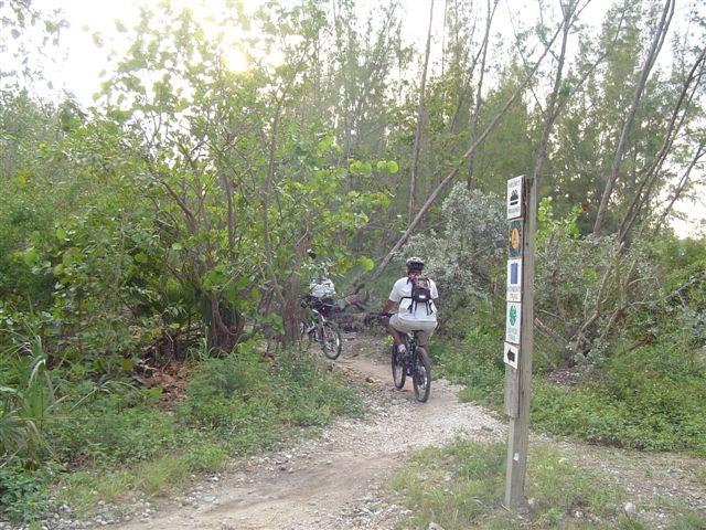 Two mountain bikers riding along a narrow trail surrounded by lush greenery and trees. A trail sign is visible on the right, indicating various biking symbols and directions. The scene is illuminated by soft sunlight filtering through the leaves. Oleta River State Park mountain bike trail.