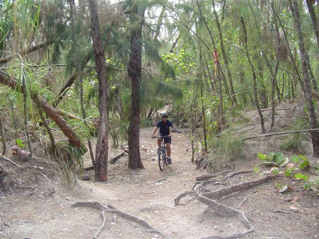 A person riding a mountain bike on a narrow dirt path surrounded by dense trees and vegetation. Sunlight filters through the foliage, creating a natural, serene atmosphere in the woods. Oleta River State Park mountain bike trail.