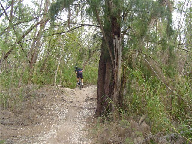 A mountain biker navigating a winding dirt trail surrounded by dense greenery and trees. Oleta River State Park mountain bike trail.