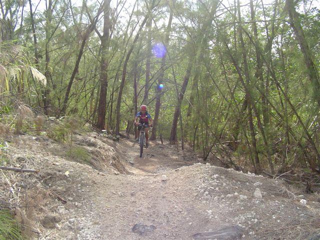 A mountain biker riding along a narrow dirt trail surrounded by dense greenery and trees, with sunlight filtering through the foliage. Oleta River State Park mountain bike trail.