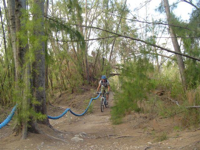 A person riding a mountain bike along a dirt path surrounded by trees and greenery. In the foreground, a blue hose is visible running alongside the trail, and the scene captures a natural outdoor setting. Oleta River State Park mountain bike trail.