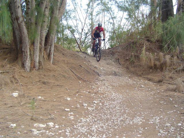 A cyclist descending a dirt path surrounded by trees, with loose gravel and pine needles visible on the ground. The cyclist is wearing a red jersey and a helmet, focused on navigating the terrain. Oleta River State Park mountain bike trail.