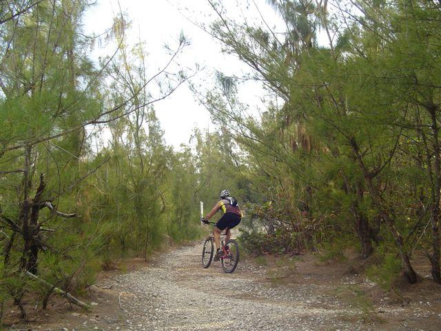 A mountain biker riding along a gravel path surrounded by tall green trees in a forested area. The cyclist is wearing a helmet and athletic clothing, navigating through the natural landscape. Oleta River State Park mountain bike trail.