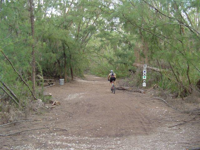 A cyclist riding down a sandy, tree-lined trail surrounded by greenery. The path shows signs of wear from bike tires, and there are trail markers on the right side. The scene is tranquil, suggesting a nature-focused biking experience. Oleta River State Park mountain bike trail.