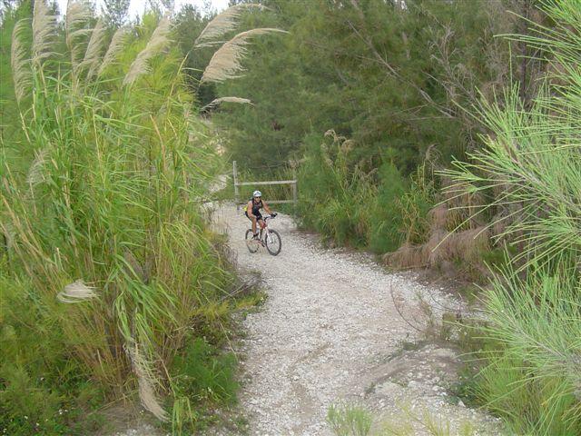 A person riding a mountain bike along a gravel path surrounded by tall grass and dense greenery. The trail appears to lead into a wooded area, with a wooden gate visible in the background. Oleta River State Park mountain bike trail.