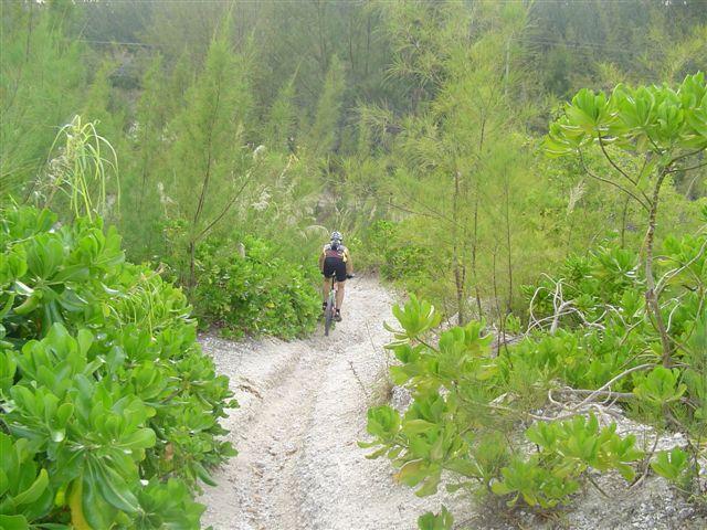 A person riding a mountain bike along a narrow gravel path surrounded by lush greenery and tall plants. The trail is flanked by vibrant shrubs and trees, leading into a natural, untouched landscape. Oleta River State Park mountain bike trail.