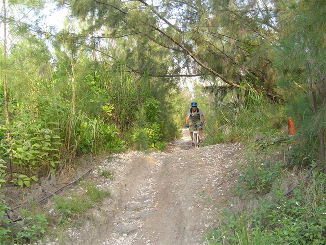 A person riding a mountain bike along a narrow, rocky path surrounded by dense greenery and tall trees. The trail is uneven, and the cyclist is wearing a helmet and casual attire. Sunlight filters through the foliage, creating a natural and serene atmosphere. Oleta River State Park mountain bike trail.