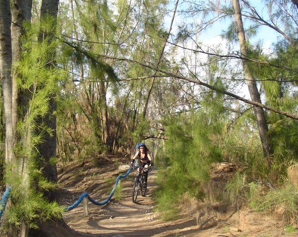 A person riding a mountain bike along a narrow dirt trail surrounded by trees and greenery. The trail is framed by tall pine trees and features a blue rope marking the path, with sunlight filtering through the branches. Oleta River State Park mountain bike trail.