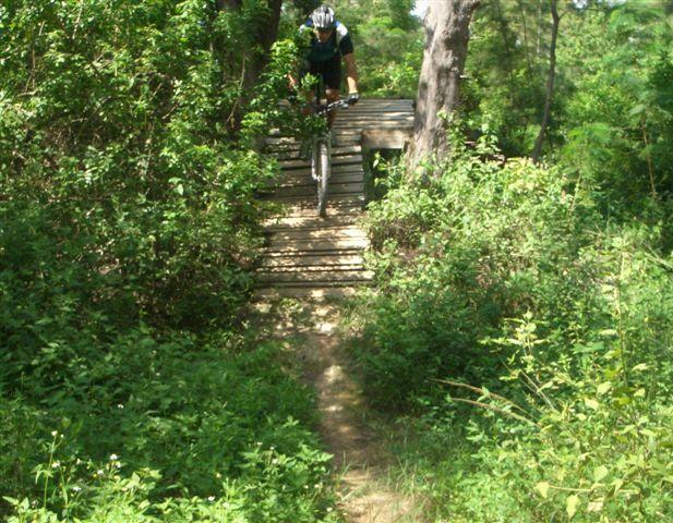 A mountain biker navigating a wooden jump ramp through a lush, green forest trail. The biker is airborne, showcasing a dynamic action shot amidst dense vegetation and sunlight filtering through the trees. Quiet Waters Park mountain bike trail.