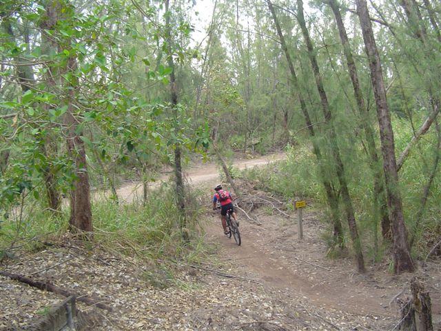 A mountain biker navigating a dirt trail through a dense forest, surrounded by tall trees and greenery, with a trail sign visible in the background. Oleta River State Park mountain bike trail.