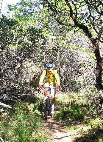 A cyclist riding a mountain bike along a narrow trail surrounded by dense greenery and trees. The rider is wearing a bright yellow jacket and a blue helmet, navigating through a natural, wooded area on a sunny day. Henry W. Coe State Park mountain bike trail.