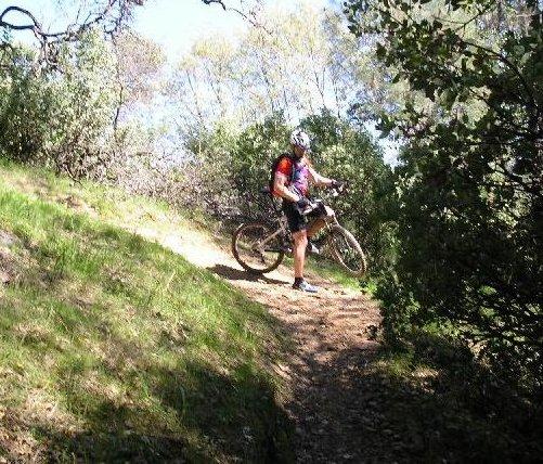 A person standing next to a mountain bike on a dirt trail surrounded by greenery and trees. The individual is wearing a helmet and athletic gear, with sunlight filtering through the foliage. Henry W. Coe State Park mountain bike trail.