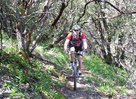 A mountain biker riding along a narrow, wooded trail surrounded by green foliage and trees. The cyclist is wearing a bright jersey and helmet, focused on the path ahead. Henry W. Coe State Park mountain bike trail.