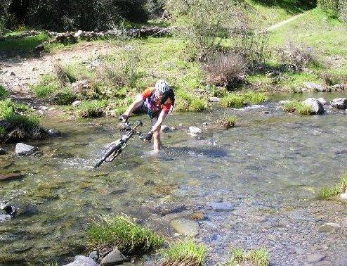 A mountain biker is wading through a shallow stream while holding their bike, surrounded by greenery and rocky terrain. Henry W. Coe State Park mountain bike trail.